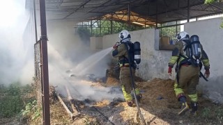Dörtyolda samalık yangını