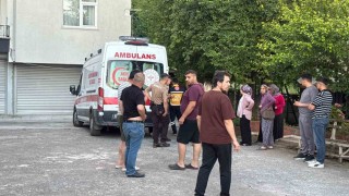Dut toplarken ağaçtan düşüp yaralandı