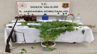 Düzcede 85 kişiye uyuşturucu işlemi