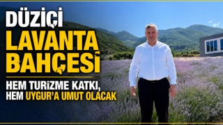 Düziçi Lavanta Bahçesi Hem Turizme Katkı, Hem Uygur’a Umut Olacak
