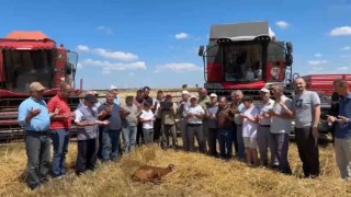 Edirnede buğday hasadı dualarla başladı