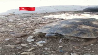 Edirnede Çevre Haftasında gülümseten görüntü