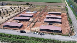 Efeler Belediyesinden sokak hayvanları için yeni yaşam alanı