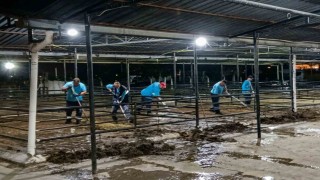 Efelerde bayram sonrası kapsamlı temizlik seferberliği