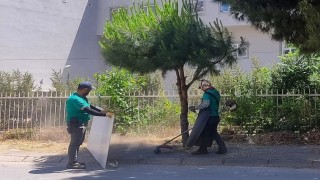 Efelerin park ve yeşil alanlarında düzenleme çalışmaları sürüyor