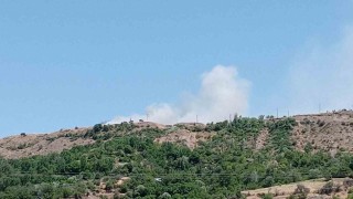 Elazığda arazi yangını