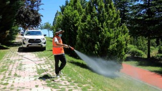 Elazığda ilaçlama çalışmaları aralıksız sürüyor