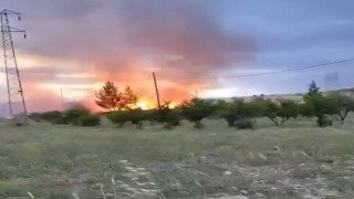 Elektrik direğinden çıktığı iddia edilen yangın buğday tarlasını küle çevirdi