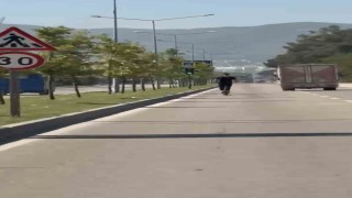 Elektrikli scooter üzerinde tehlikeli yolculuk kamerada