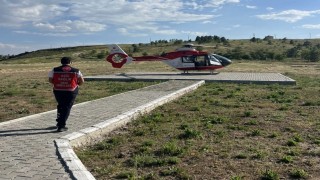 Ercişten Vana bebek için hava ambulansı seferberliği