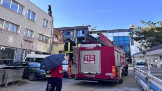 Erzincanda karga ailesi yavrusu için kedilere ve insanlara meydan okudu