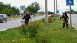 Erzincanda yeşil alanlarda bakım çalışmaları sürüyor