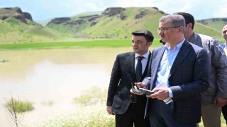 Erzurumda girdiği nehirde kaybolan çobanı arama çalışmaları sürüyor