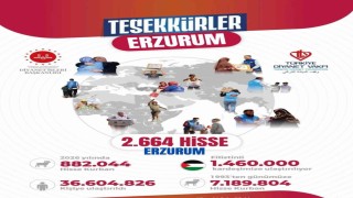 Erzurumdan dünyaya uzanan yardım eli