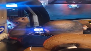 Esenyurtta minibüs şoförünün seyir halindeyken video izlediği anlar kamerada