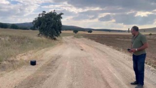 Eskişehirde kaybolan gebe inek dron ile aranıyor