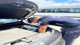 Eskişehirde motor bölümüne sıkışan kediyi itfaiye ekipleri kurtardı