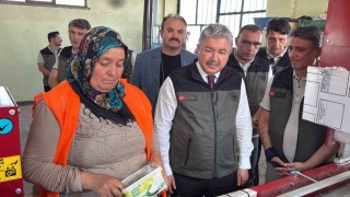 Eskişehir'den yangın bölgelerine gönderilen milyonlarca fidan nefes olacak