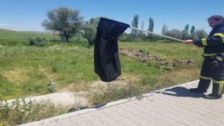 Eve giren yılanı itfaiye yakaladı