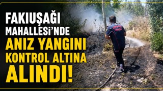 Fakıuşağı Mahallesi'nde Anız Yangını Kontrol Altına Alındı
