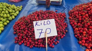 Festivalde 300 liraydı, pazarda 70 liraya düştü