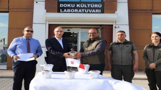 FÜde üretilen endemik bitkiler doğaya kazandırılıyor