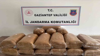 Gaziantepte 353 aranan şahıs yakalandı