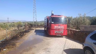 Gaziantepte zeytinlik alanda yangın