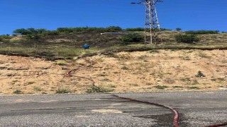 Gençte çıkan orman yangını büyümeden söndürüldü