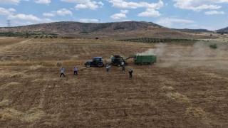 Gercüşte kavurucu sıcakta oyun havalı hasat