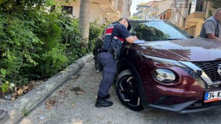 Geri kayan otomobil ağaca çarpı: 3 yaralı