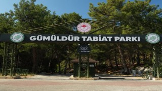 Gümüldür Tabiat Parkı 3 yıl aradan sonra kapılarını yeniden açtı