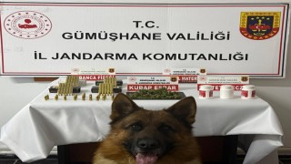 Gümüşhanede uyuşturucu operasyonu