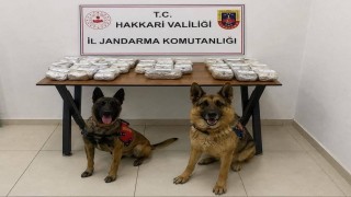 Hakkaride 21 kilo 650 gram toz esrar ele geçirildi