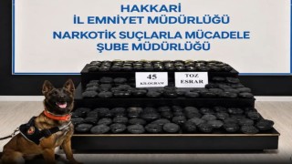 Hakkaride aranan şahıs 45 kilo uyuşturucuyla yakalandı