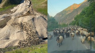 Hakkaride yayla sezonu gecikmeli başladı