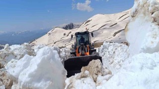 Hakkaride yaz günü karla mücadele devam ediyor