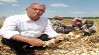 Hasan Altundan Toprak Bayramı Haftası kutlama mesajı