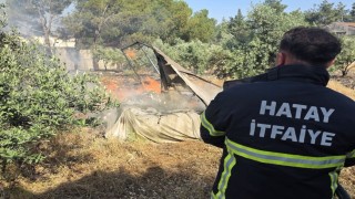 Hassada bahçe yangını