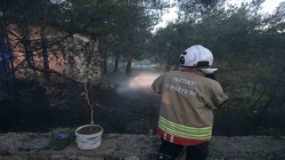 Hassada çamlık alan yangını