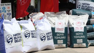 Hatay’da Ayçiçeği Üreticilerine Tohum Desteği
