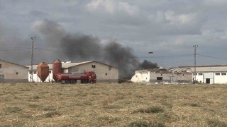 Havai fişek deposunda korkutan yangın