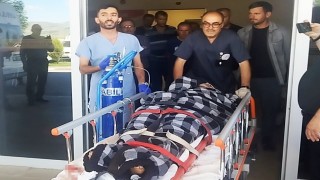 Hayvanlarını otlatırken ayı saldırısına uğradı, Kangallar imdadına yetişti