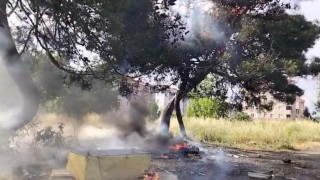 Hurda atık yangını yarım asırlık ağacı küle çevirdi