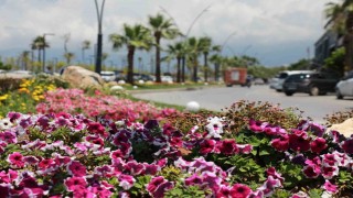 İskenderun sahili renkli çiçeklerle süslendi.