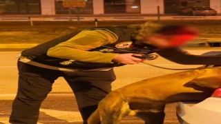 Ispartada narkotikten bir haftada 18 operasyon, 3 tutuklama