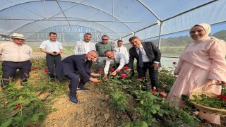 Kadın girişimci hibe desteğiyle Kocaelinin ilk gül serasını kurdu