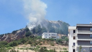 Kahramanmaraşta orman yangını