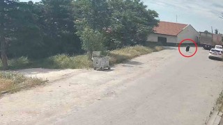 Kamyonun çarptığı yaşlı kadın hayatını kaybetti: Feci kaza kamerada