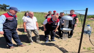 Karabükte safran üretim alanlarında teknik inceleme yapıldı